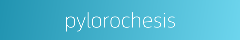 pylorochesis的同义词
