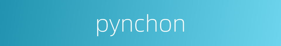 pynchon的同义词