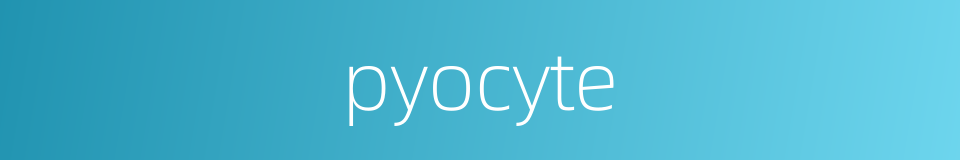 pyocyte的同义词