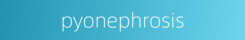 pyonephrosis的同义词