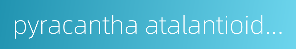 pyracantha atalantioides的同义词