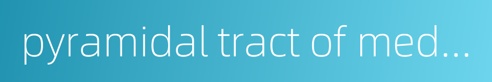 pyramidal tract of medulla oblongata的同义词
