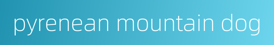 pyrenean mountain dog的同义词