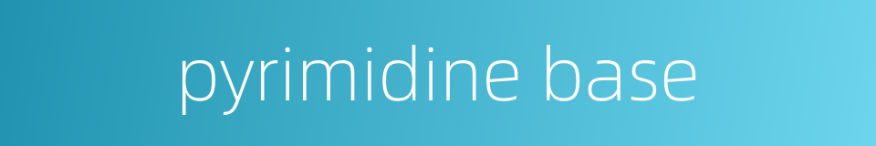 pyrimidine base的同义词