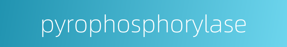 pyrophosphorylase的同义词