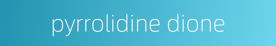 pyrrolidine dione的同义词