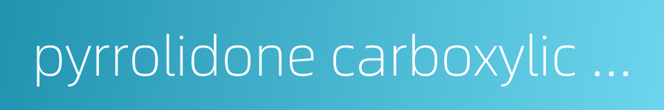 pyrrolidone carboxylic acid的同义词