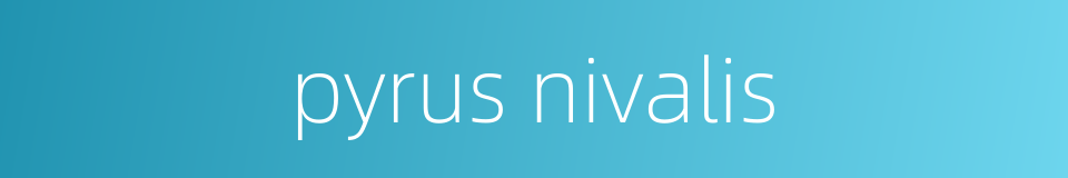 pyrus nivalis的同义词