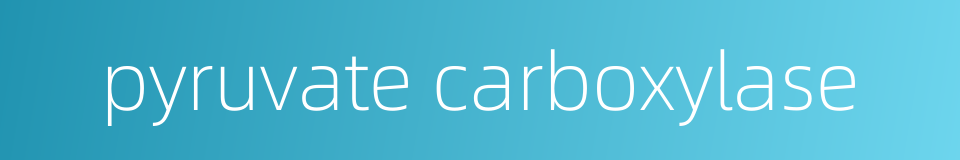 pyruvate carboxylase的同义词