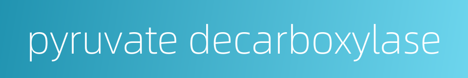 pyruvate decarboxylase的同义词