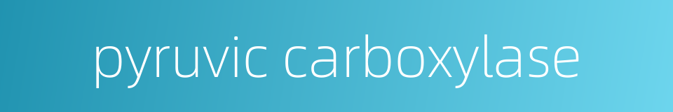 pyruvic carboxylase的同义词