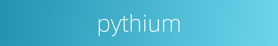 pythium的同义词