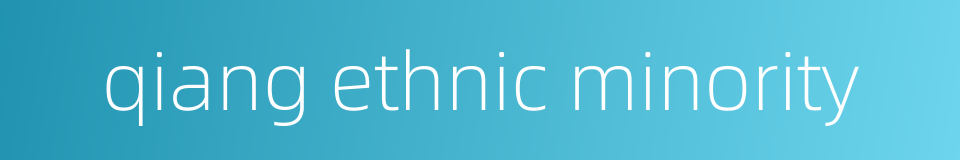 qiang ethnic minority的同义词