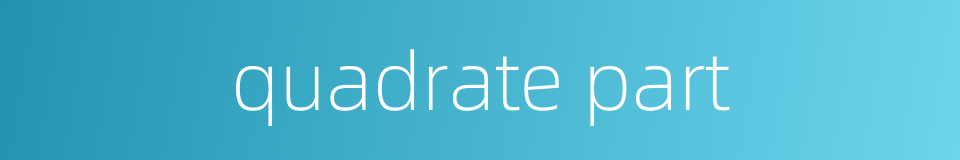 quadrate part的同义词
