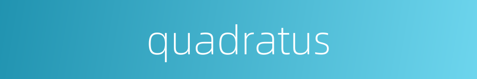 quadratus的同义词