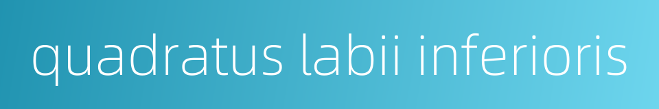 quadratus labii inferioris的同义词