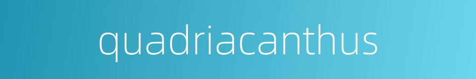 quadriacanthus的同义词