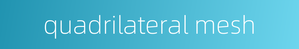 quadrilateral mesh的同义词