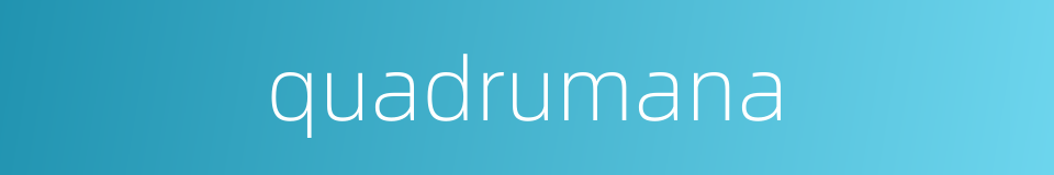 quadrumana的同义词