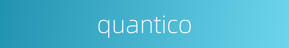 quantico的同义词