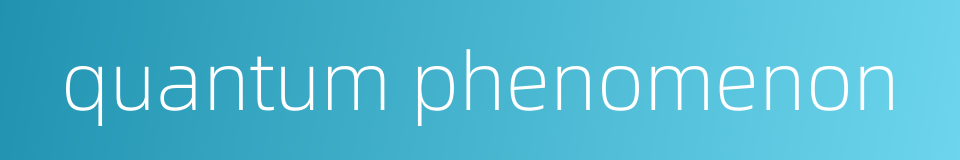 quantum phenomenon的同义词