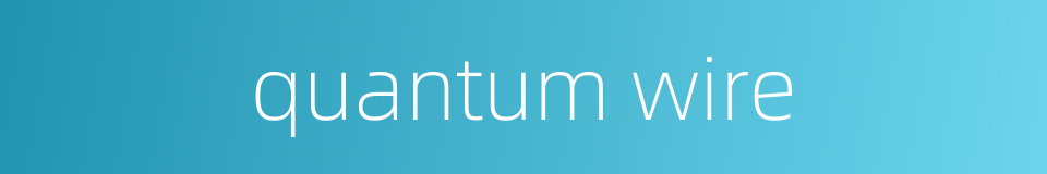 quantum wire的同义词