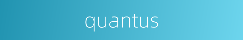 quantus的同义词