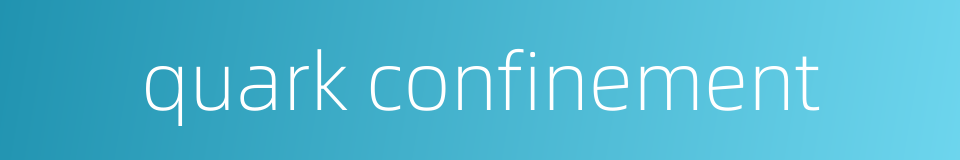 quark confinement的同义词