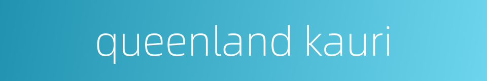 queenland kauri的同义词