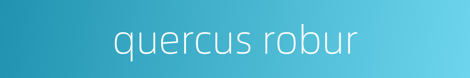 quercus robur的同义词
