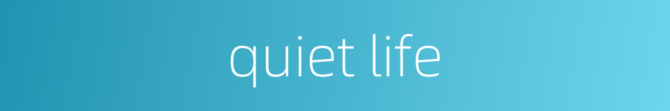 quiet life的同义词