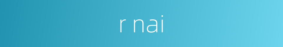 r nai的同义词