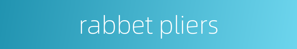 rabbet pliers的同义词