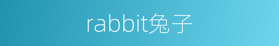 rabbit兔子的同义词