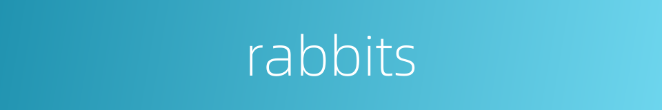 rabbits的同义词