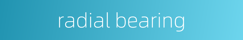 radial bearing的同义词