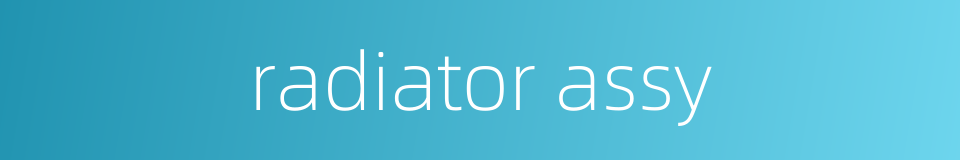 radiator assy的同义词