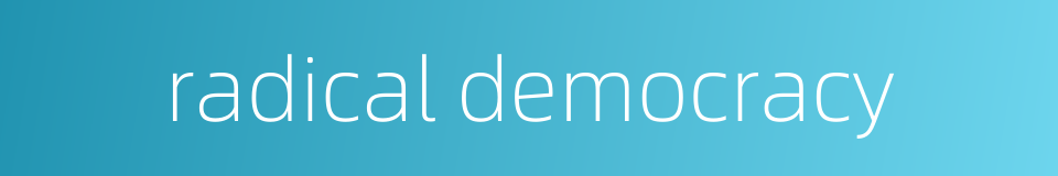 radical democracy的同义词