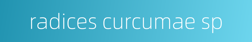 radices curcumae sp的同义词