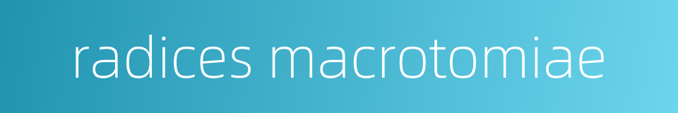 radices macrotomiae的同义词