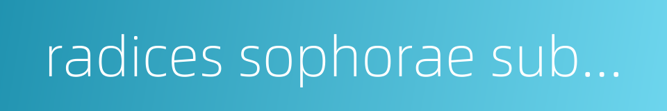 radices sophorae subprostratae的同义词