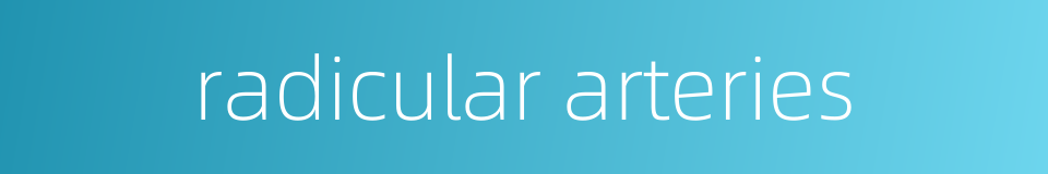 radicular arteries的同义词