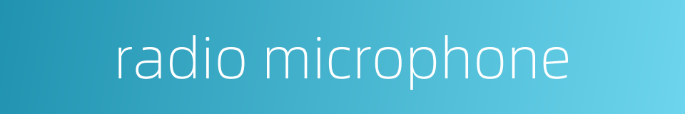 radio microphone的同义词