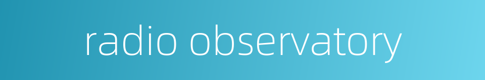 radio observatory的同义词