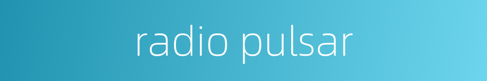 radio pulsar的同义词
