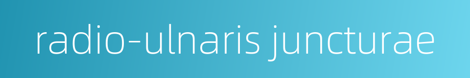 radio-ulnaris juncturae的同义词