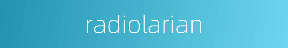 radiolarian的同义词
