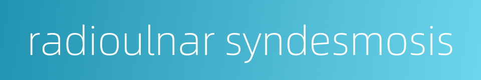 radioulnar syndesmosis的同义词