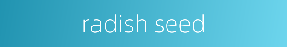 radish seed的同义词