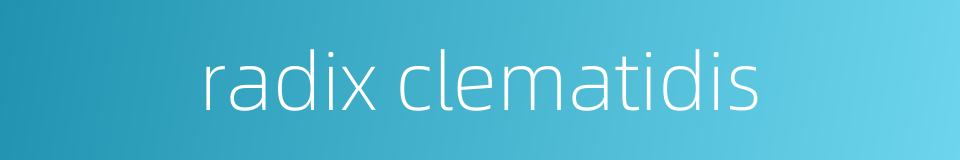 radix clematidis的同义词